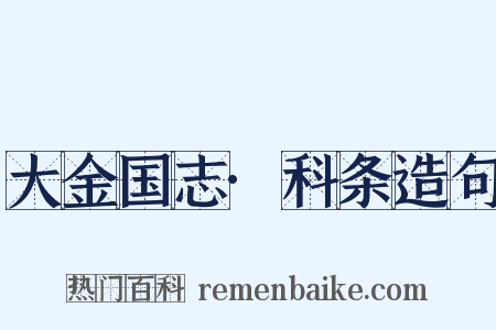大金国志·科条造句是什么意思的图片